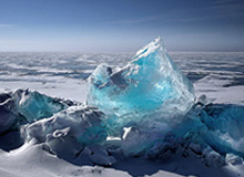 腾讯体育官网-约旦门将扑出日本点球后挥拳庆祝，没想到皮球却弹进球门